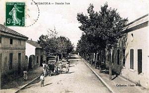 1542- Douaouda - Grande Rue